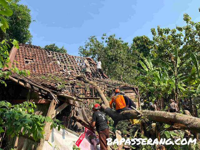 Angin Puting Beliung Terjang Grobogan
